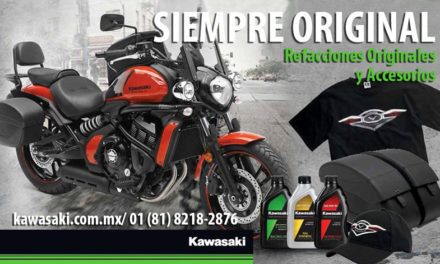 Adictos a la potencia verde, usa KAWASAKI