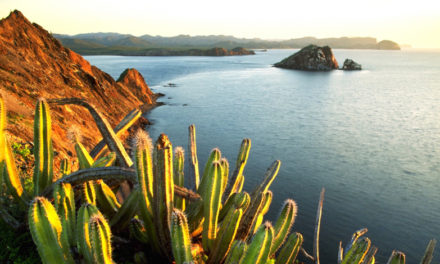 Último paso por Sonora