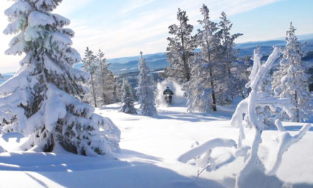 Moto en todo momento, en todo lugar