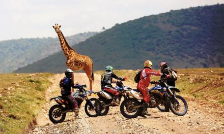Rodando bajo el sol de África