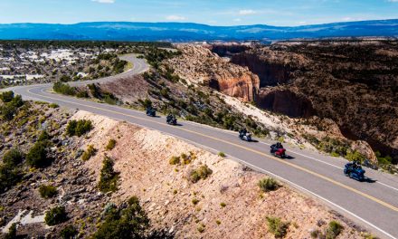 ¿Nueva imagen en modelos de Harley-Davidson eléctricos?