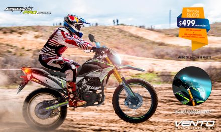 Escoge uno de los caballos de acero de VENTO y evita el transporte público