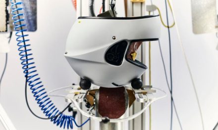 Sistema MIPS, protección avanzada en cascos