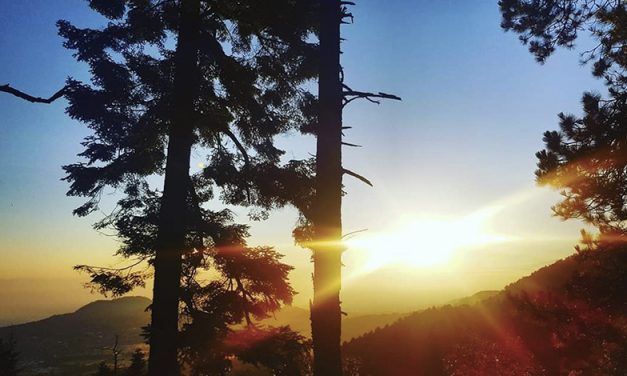 Parque Nacional Cumbres del Ajusco