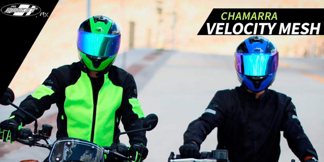 Tu mejor aliado te acompaña en cada aventura