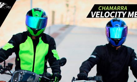 Tu mejor aliado te acompaña en cada aventura