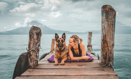 Jess y Moxie, una aventura épica para chicas