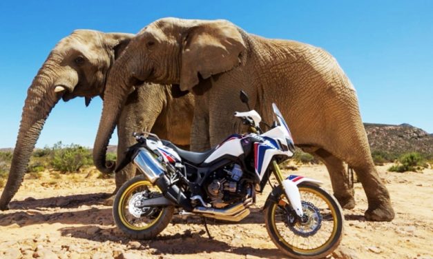 Prepárate para rodar y vivir una experiencia inolvidable en una ruta por África