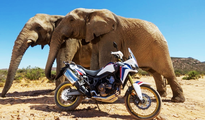 Prepárate para rodar y vivir una experiencia inolvidable en una ruta por África