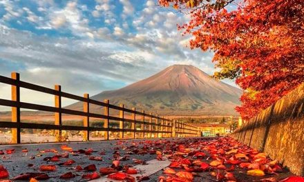Descubre la magia oculta de los caminos de Japón