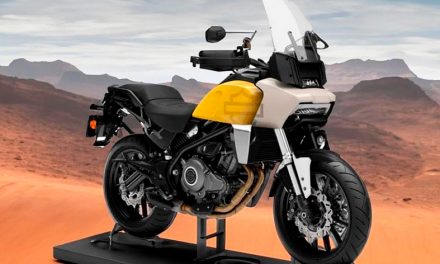 Harley-Davidson X 350 RA: la mini Pan America