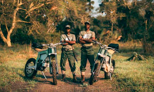 Explora la belleza del continente africano a través de una emocionante ruta por Camerún