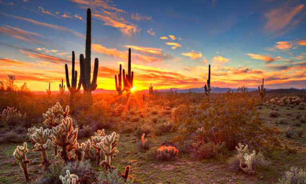 Ruta extrema en la ciudad de Cananea ¡Descubre el desafío del Río Sonora!
