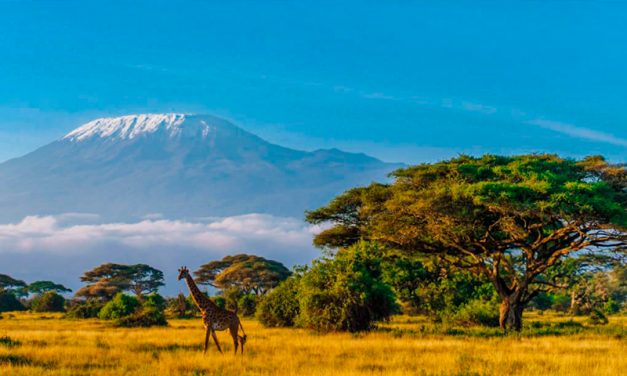Ruta salvaje: Un viaje en moto por la Uganda más profunda
