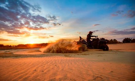 Rueda por Túnez y descubre la ruta del desierto