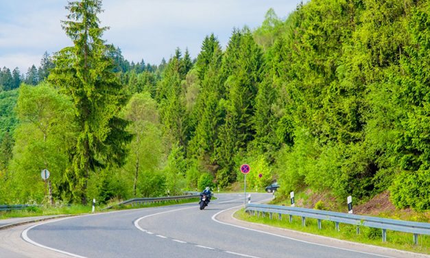 Desafía la Selva Negra en Alemania